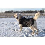 Kruuse Rehab Dog Blanket / Rug